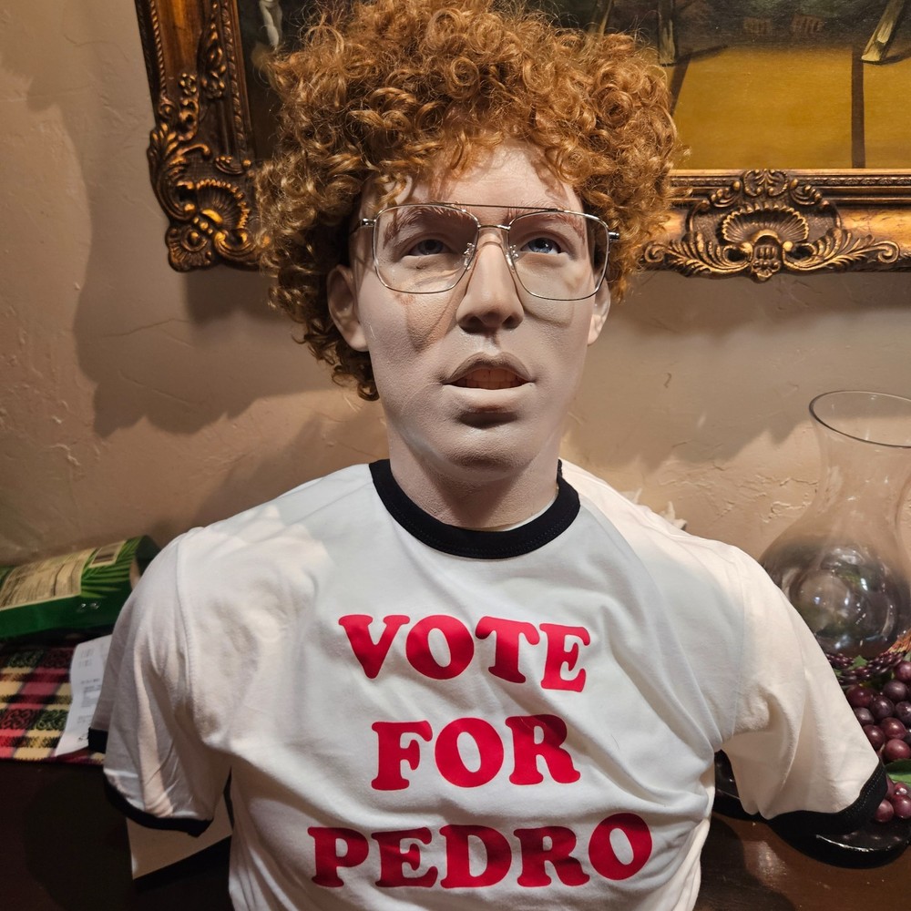 Napoleon Dynamite torso bust