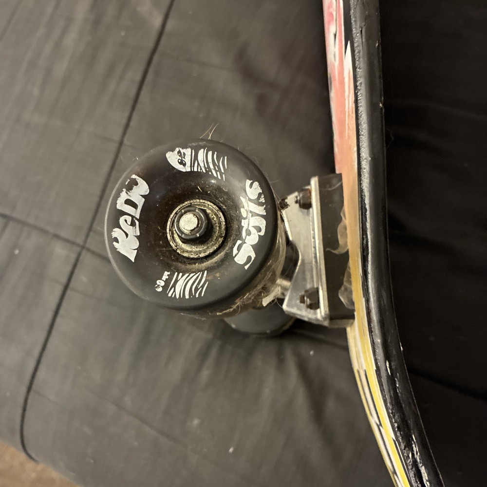 ReDo Shorty Cruiser Palm Checkers Skateboard