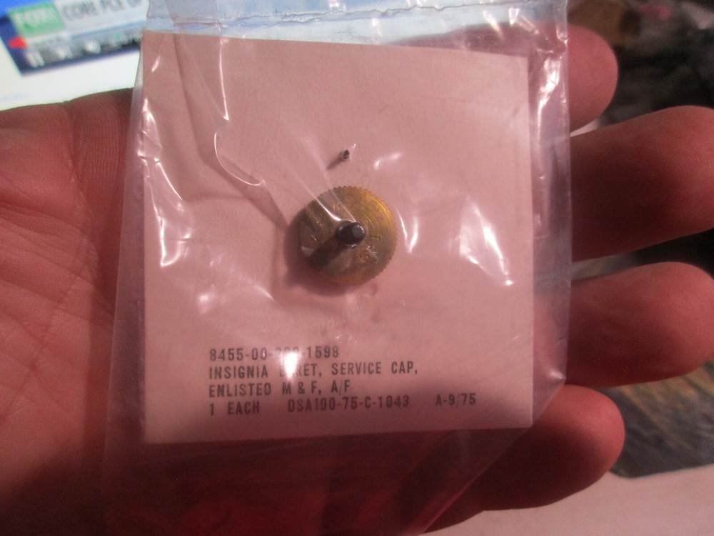 Militaria - USAF Hat Badge