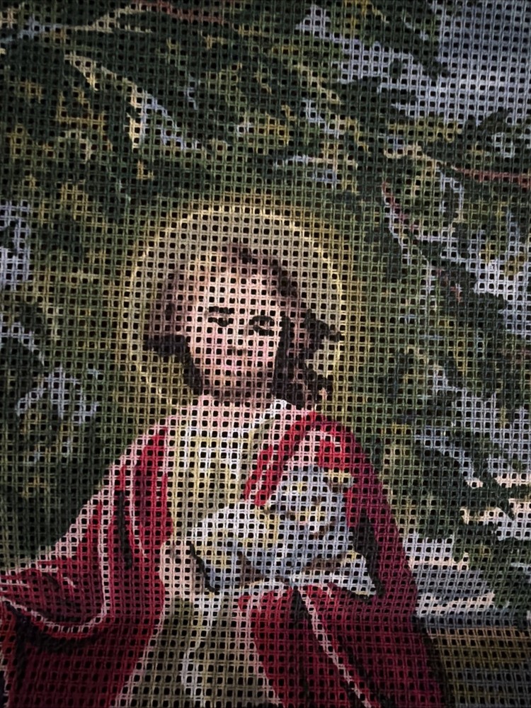 Printed Needlepoint Canvas Only Collection D Art 40x50 Cm