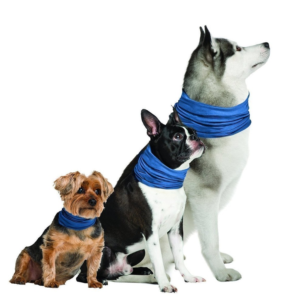 Dog Cooling Collar (Small/Medium 8"- 20") Small/Medium 8"- 20"