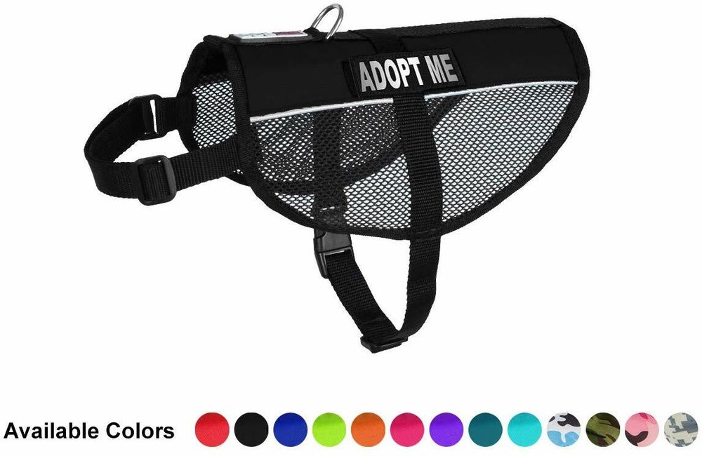 ADOPT ME Service Mesh Vest with Removable Reflective Patch Size 13" - 38"