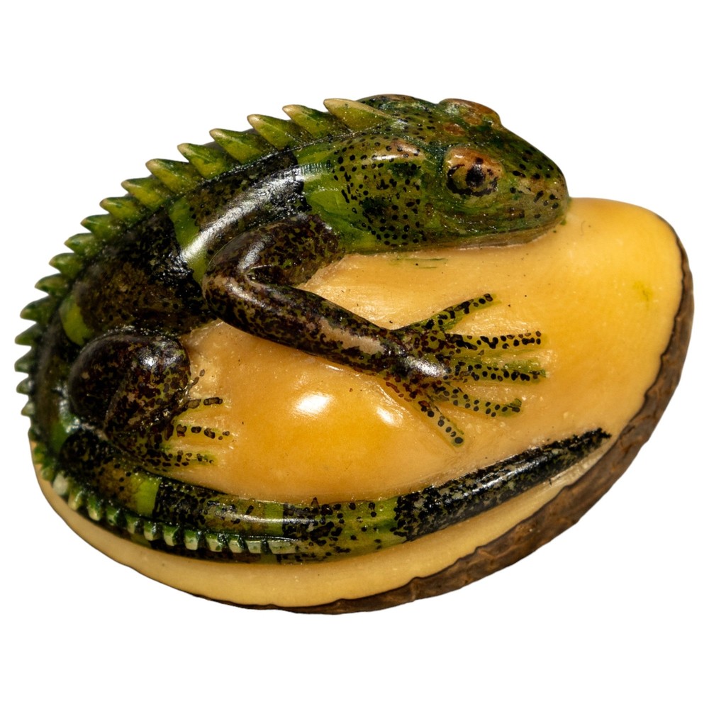 Green Iguana Lizard Tagua Nut Carving