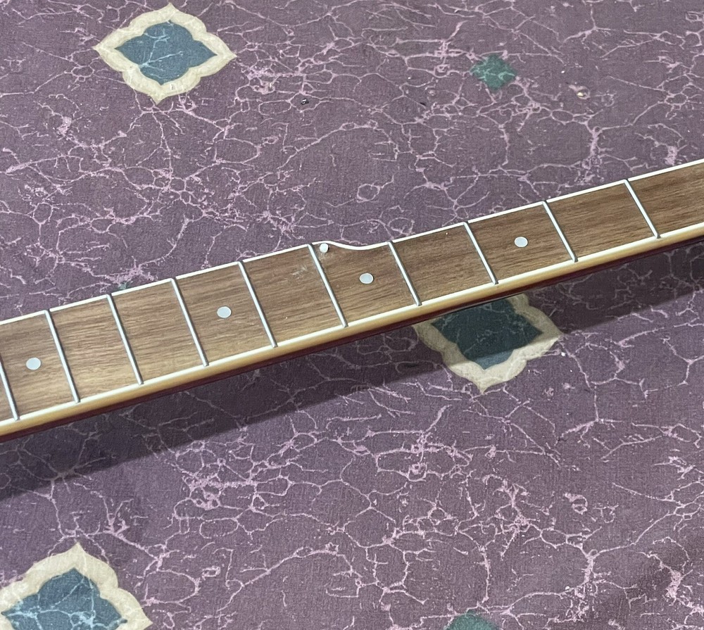 Rogue B30 5-String Banjo Easy Project