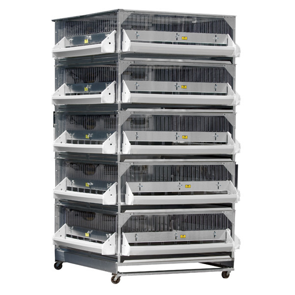 Brooder GQF Battery Brooder Deck Game Bird Poultry 5 Box Brooder 0540 Poultry