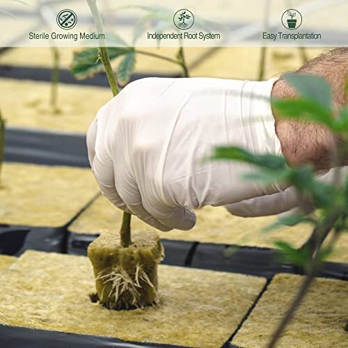 1" Rockwool Grow Cubes Starter Plugs for Plant Growing Rooting, 4 Sheets
