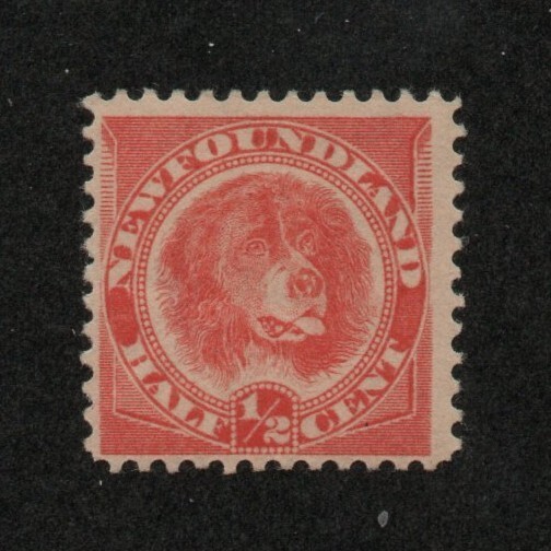 Newfoundland Scott 57 Half-Cent Dog issue Unused Hinged tiny thin 2021 cv $80