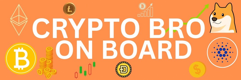 Crypto Bro On Board Bumper Sticker 9x3"