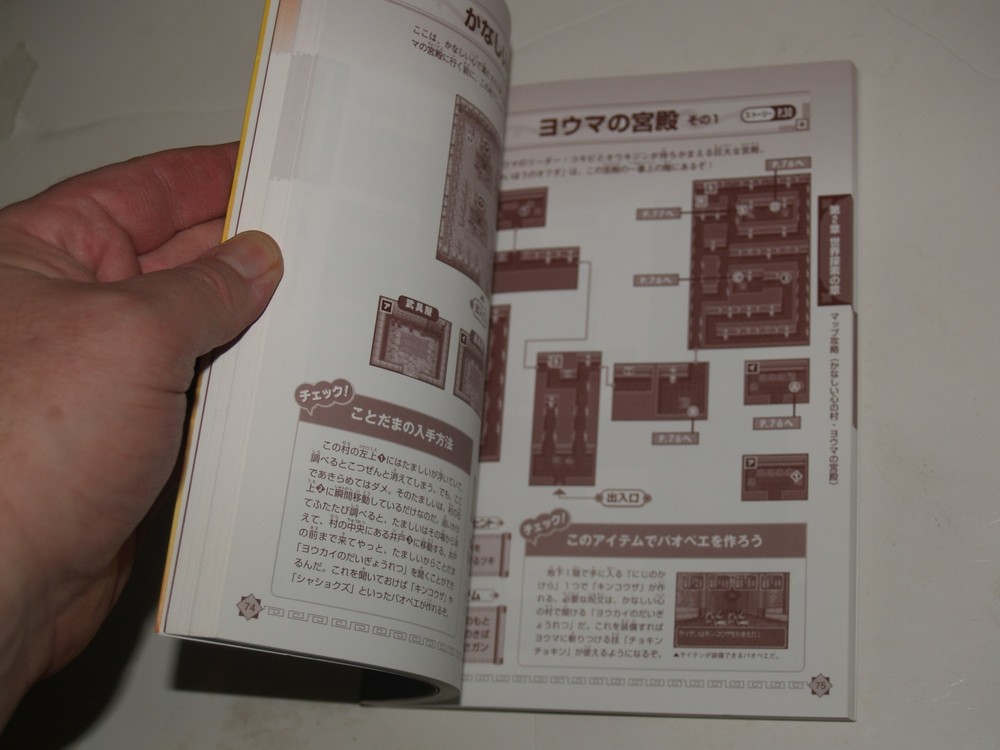 Magical Houshin Advanced Guide- in Japanese-9784877199708