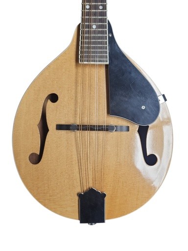 Custom A-Style Mandolin with Hardshell Case