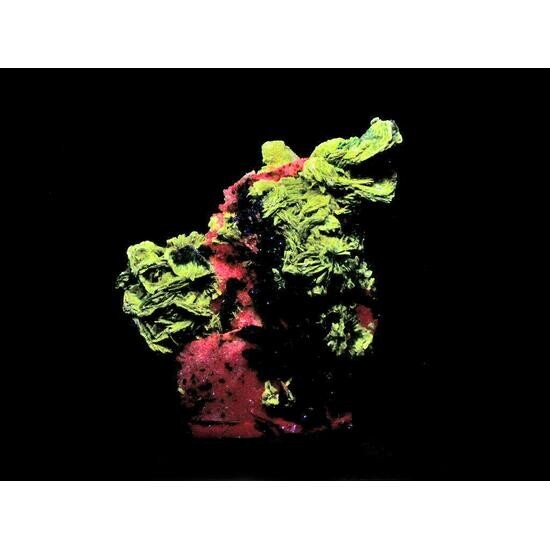 KB: FANTASTIC! GREAT SW FL. POLYLITHIONITE/MICROCLINE, QUEBEC, CANADA