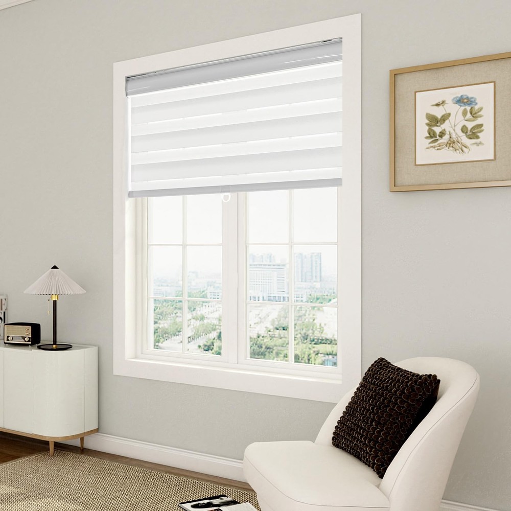 Cordless Zebra Blinds, Dual Layer Sheer Light Filtering & Privacy Control, Wa...