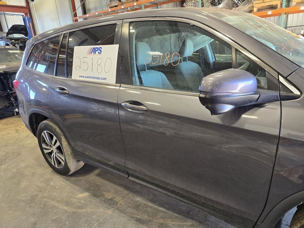 PILOT 2017 Jack 1552265