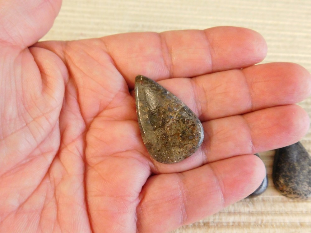 Dinosaur Bone Cabochons - 4 pcs