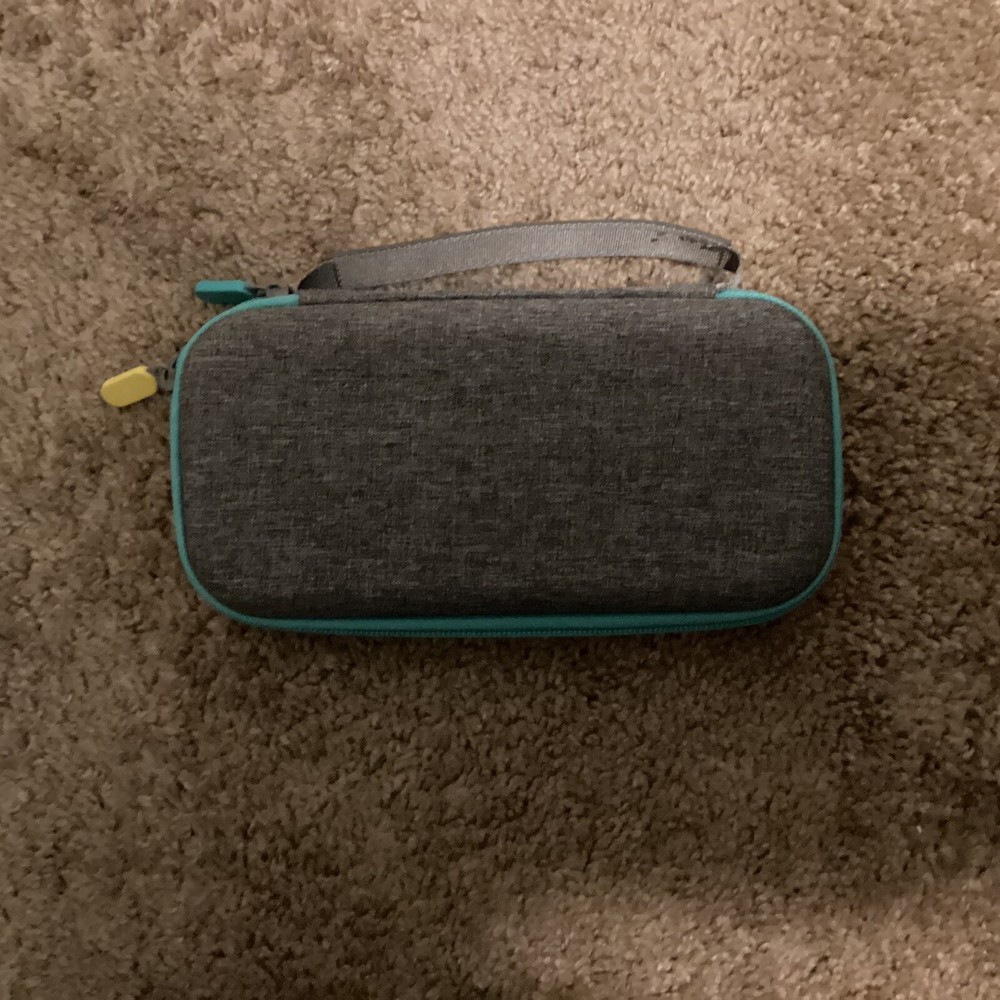 Nintendo Case