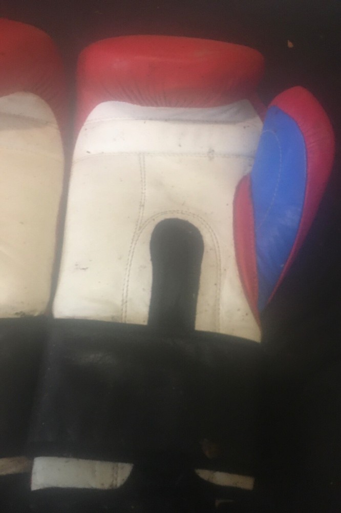 Grant Boxing Gloves.