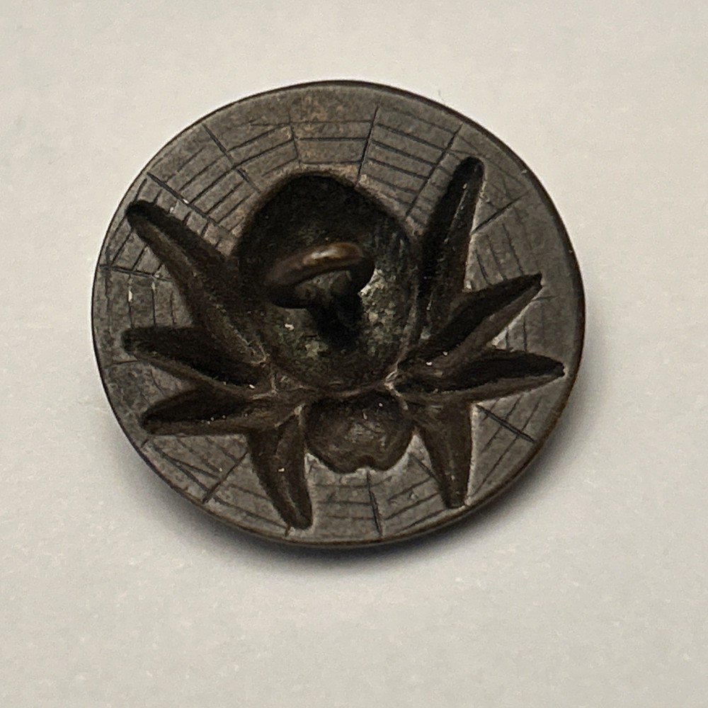 Vintage large 1920-30's brass spider on Web button