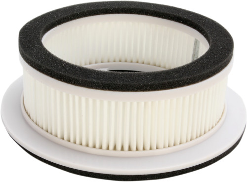 HiFlo - HFA4510 - Air Filter