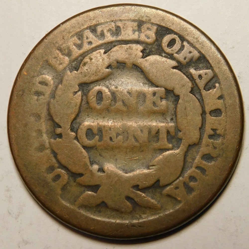 Dateless Large Cent Matron Young Head Actual Coin Pictured