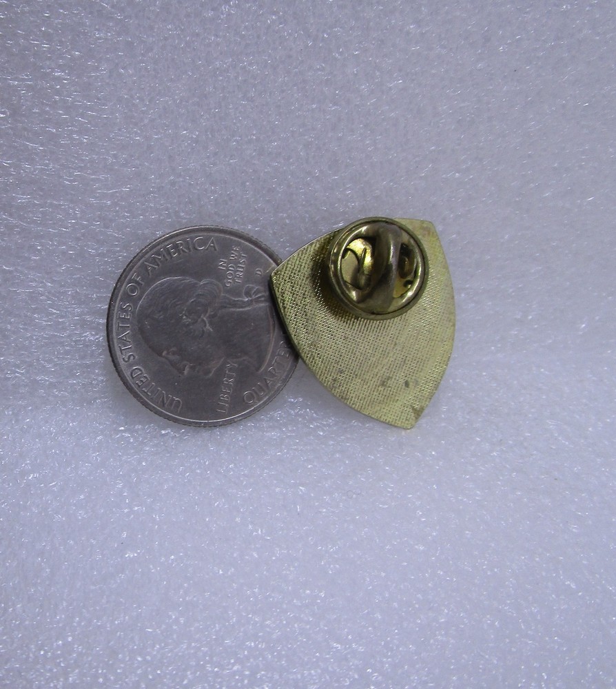 Security Guard Pin