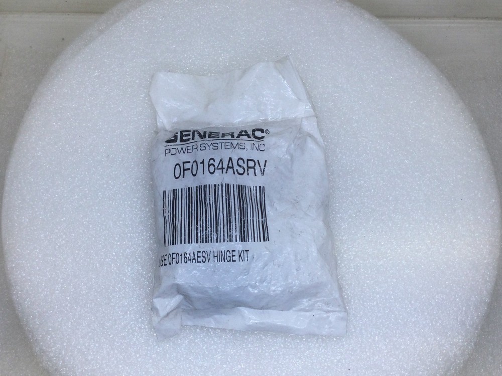 Generac 0F0164ASRV Replacement Hinge Kit