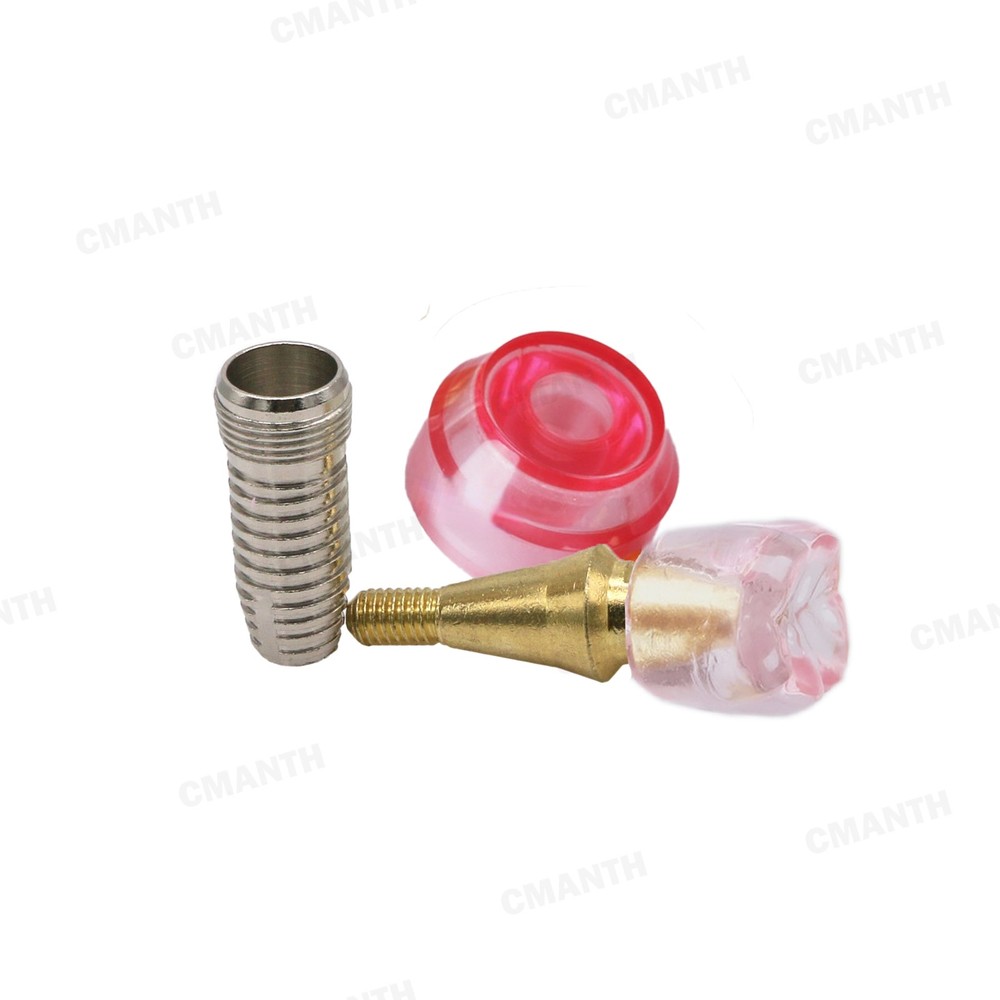 Dental Implant Model Demonstration Teeth Study Teach Model Detachable M2020