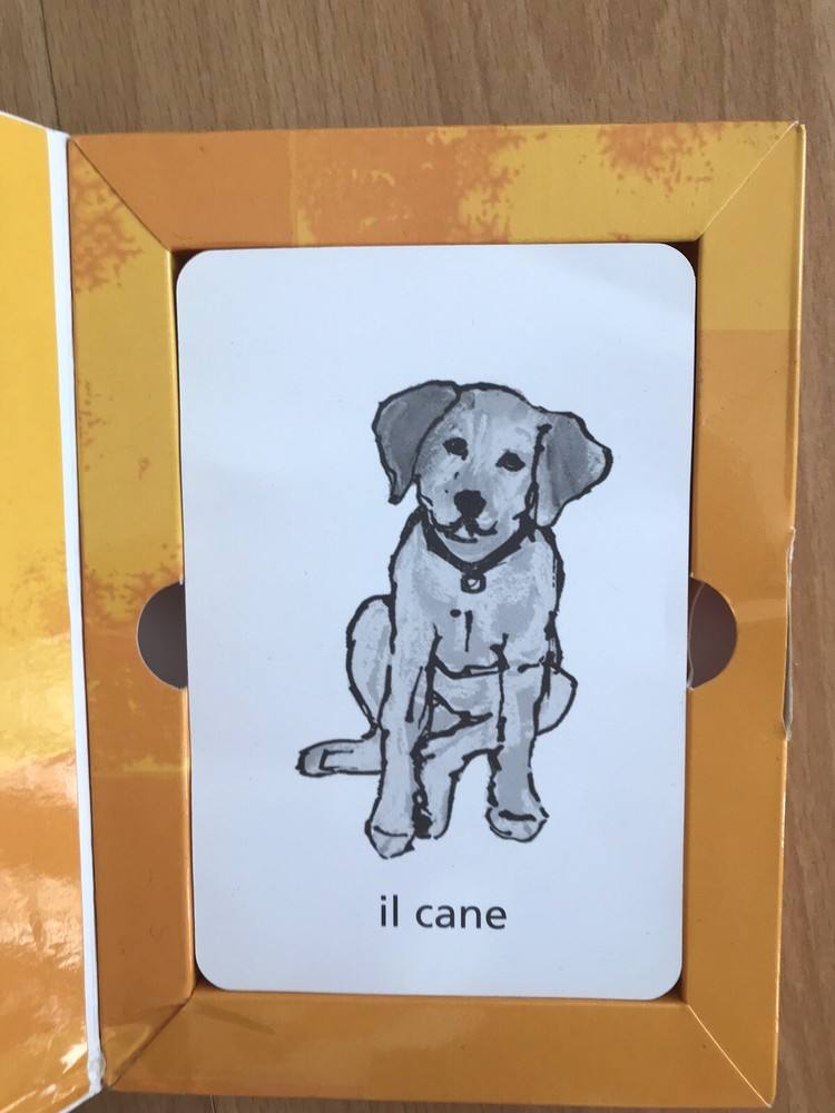 Flashwords Italian - English