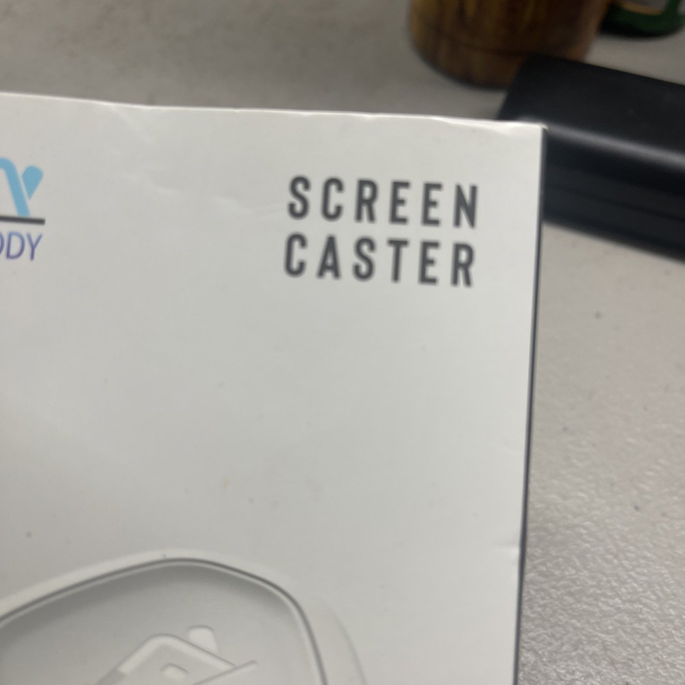 Tv Buddy Screen Caster