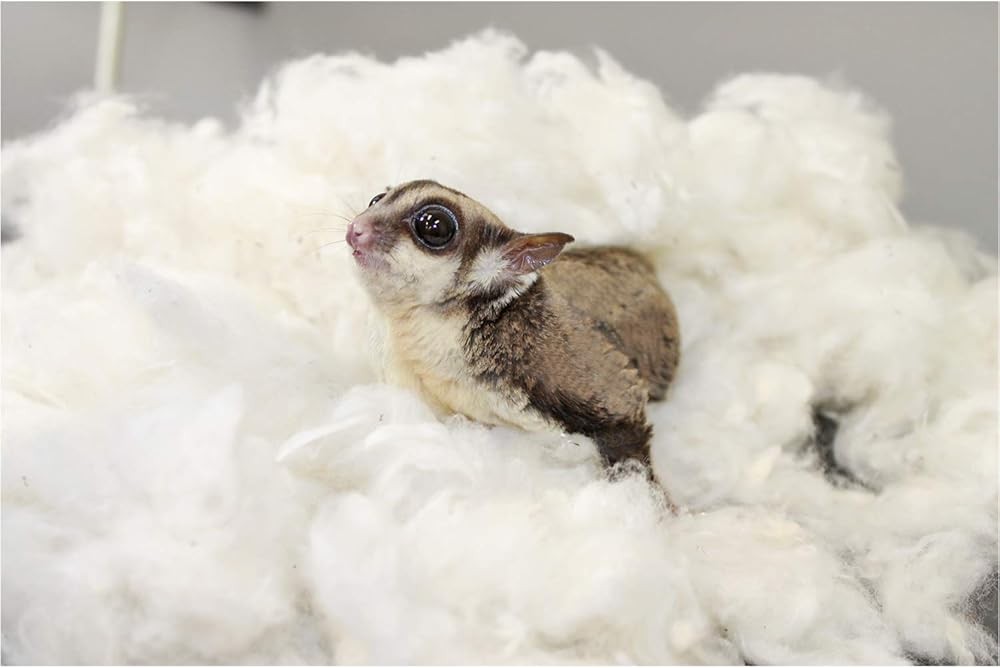 Exotic Nutrit Nesting Material - Cotton Eco-Friendly