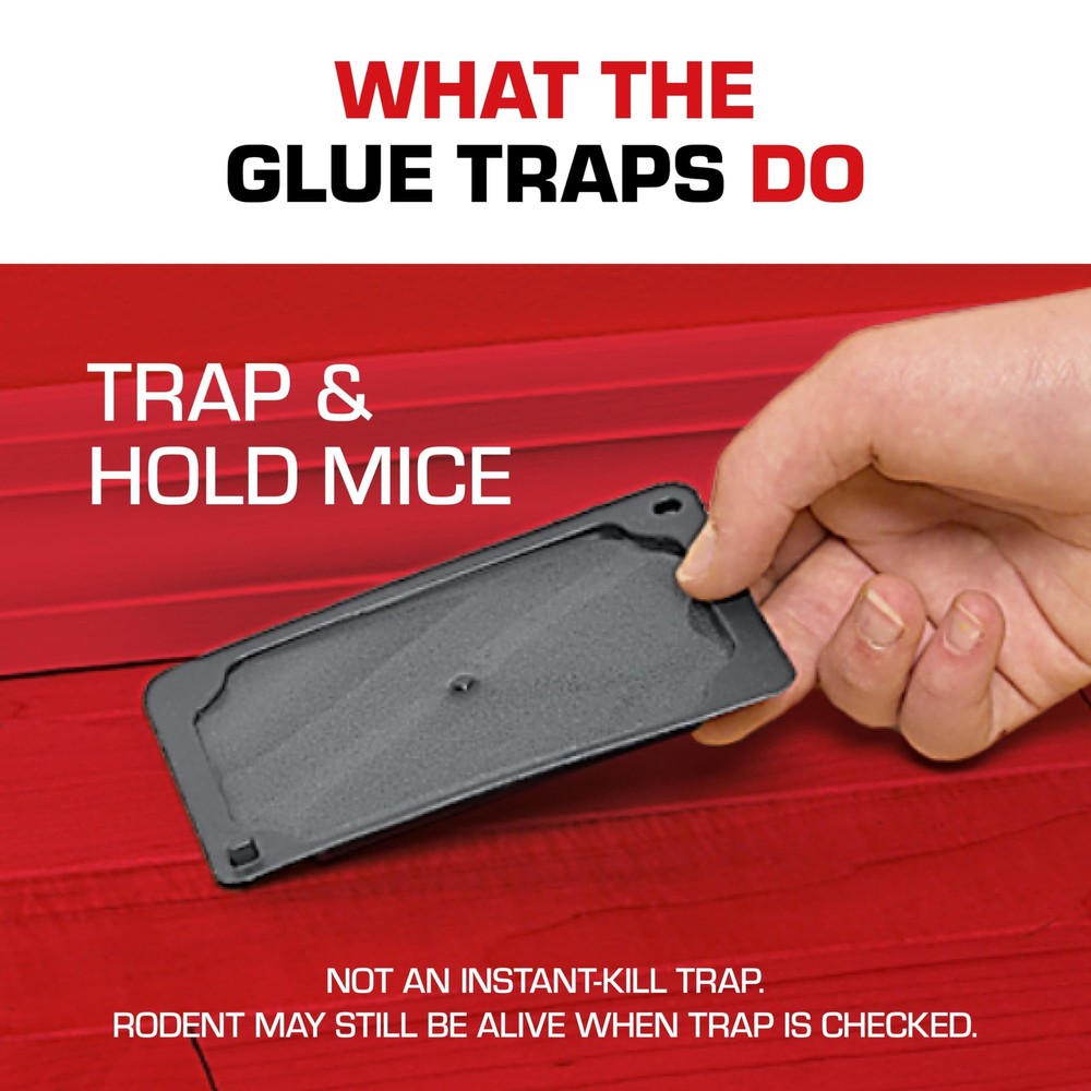 Glue Traps Mouse Size with Eugenol Enhanced Stickiness for Mice