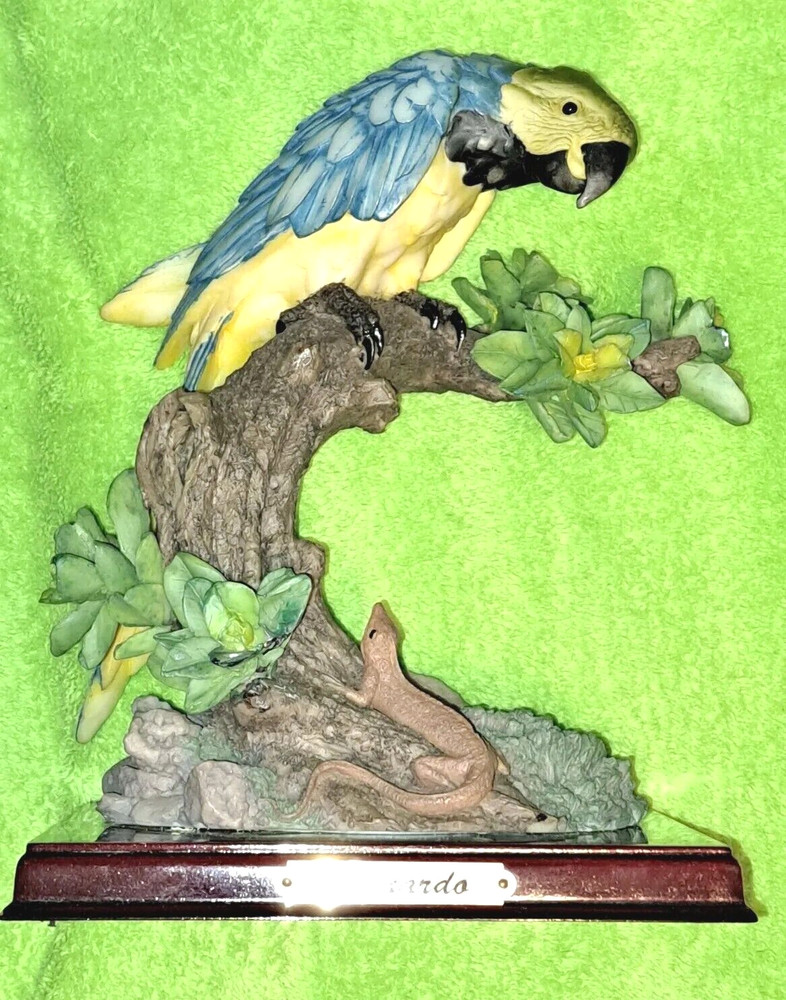 LEONARDO "  THE  MACAW PARROT " w/ Lizard     BLACK/BLUE/ WHITE/YELLOW