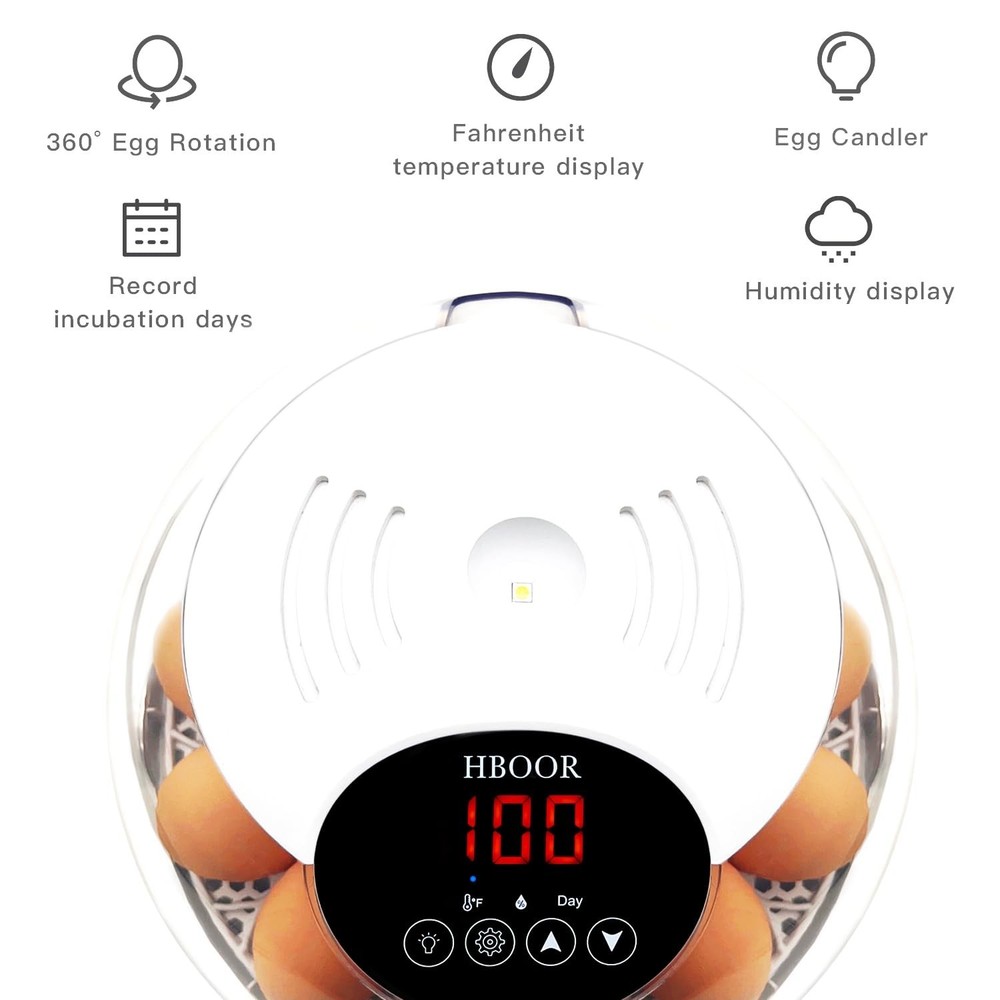 12 Egg Incubator Incubators for Hatching Eggs Chicken Egg Incubator