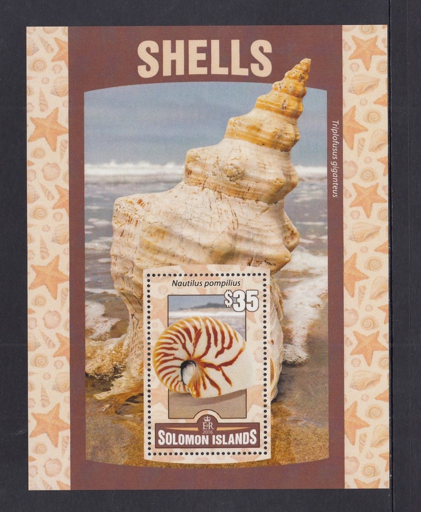 Solomon Islands MUH Mini Sheet - 2016 $35.00 Sea Shells