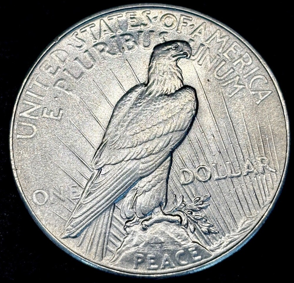 1934 PEACE DOLLAR INCREDIBLE GEM QUALITY.