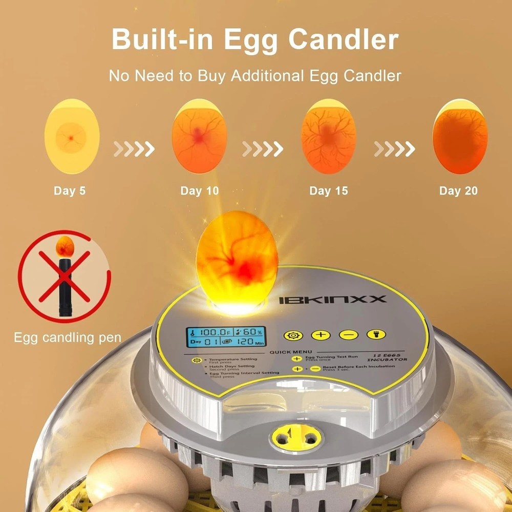 Eco-Friendly 12 Egg Capacity Incubator: Automatic Turner, Candling & 360° View