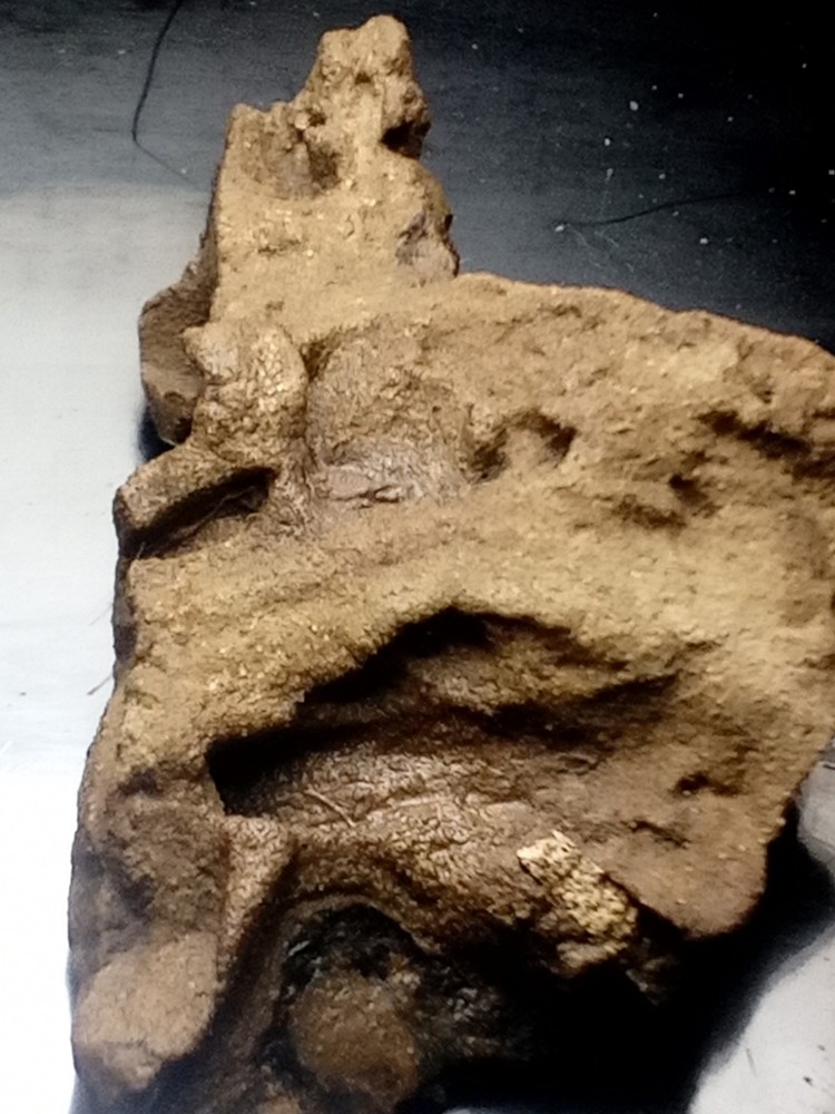 High Grade Gold Ore 7g