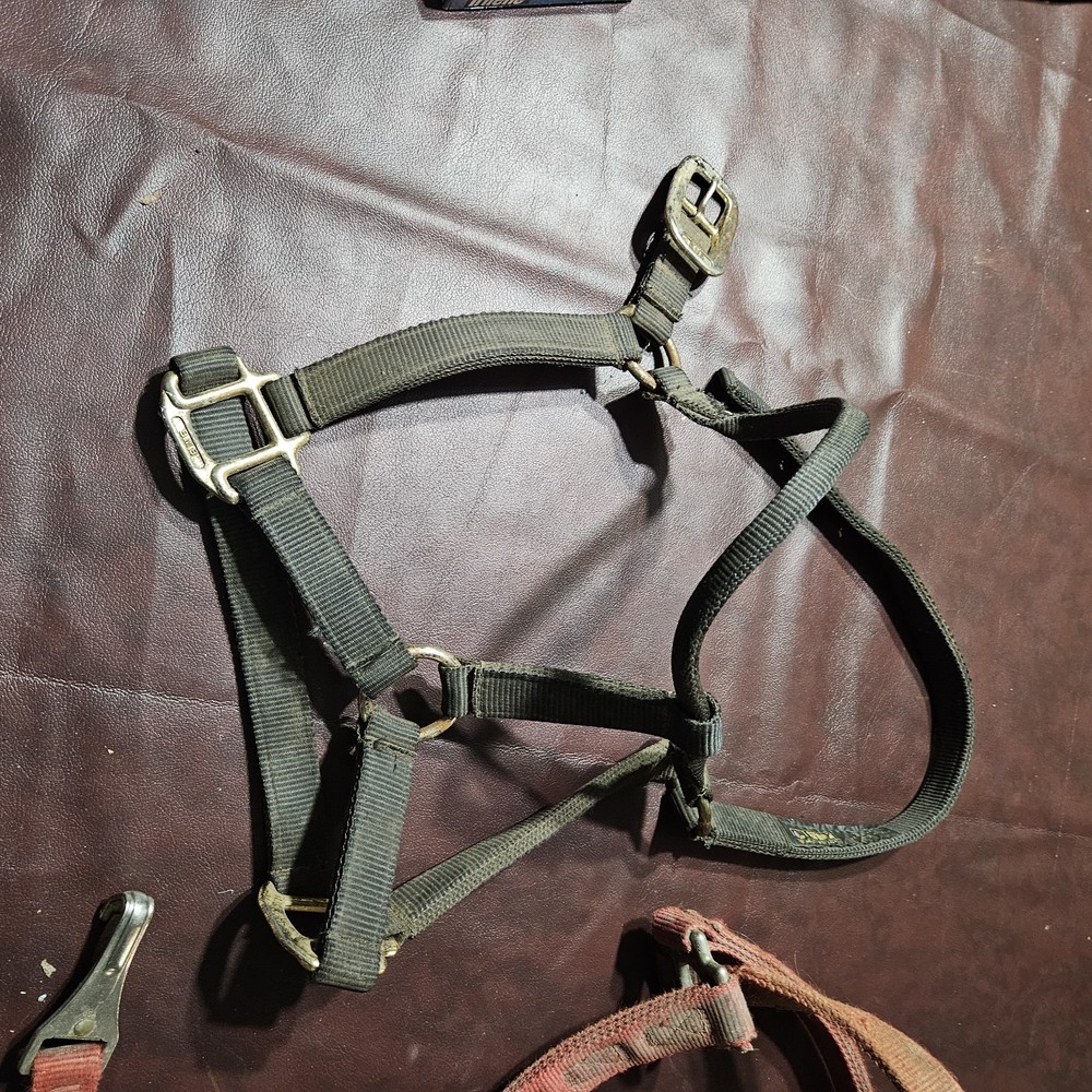 Two Yearling Medium Horse Leather Double Leather & Poly Stitched Halter