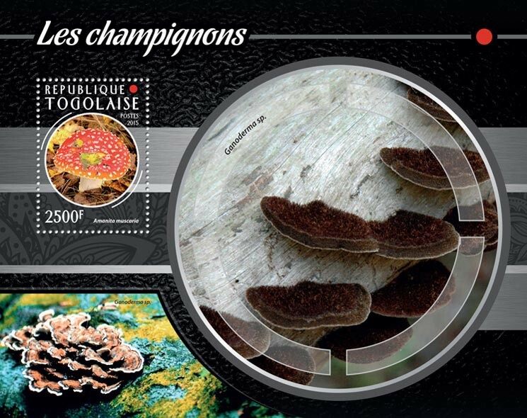 2015 TOGO MNH. MUSHROOMS    Y&T Code: 984  |  Michel Code: 6633 / Bl.1142