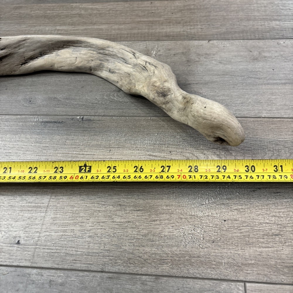Petrified Wood Snake 30”