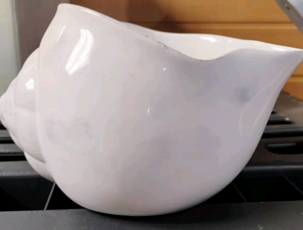 White Ceramic Conch Shell Seashell Bowl Planter Container Center Piece Ocean