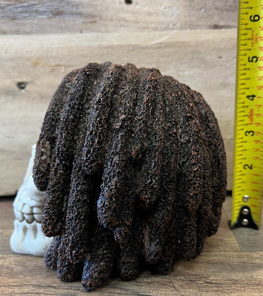 Skull With Dreadlocks Statue 5" x 5.5"