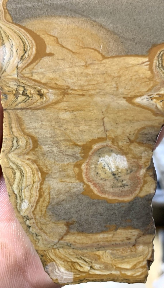 Shadow Mountain Picture Jasper Slab