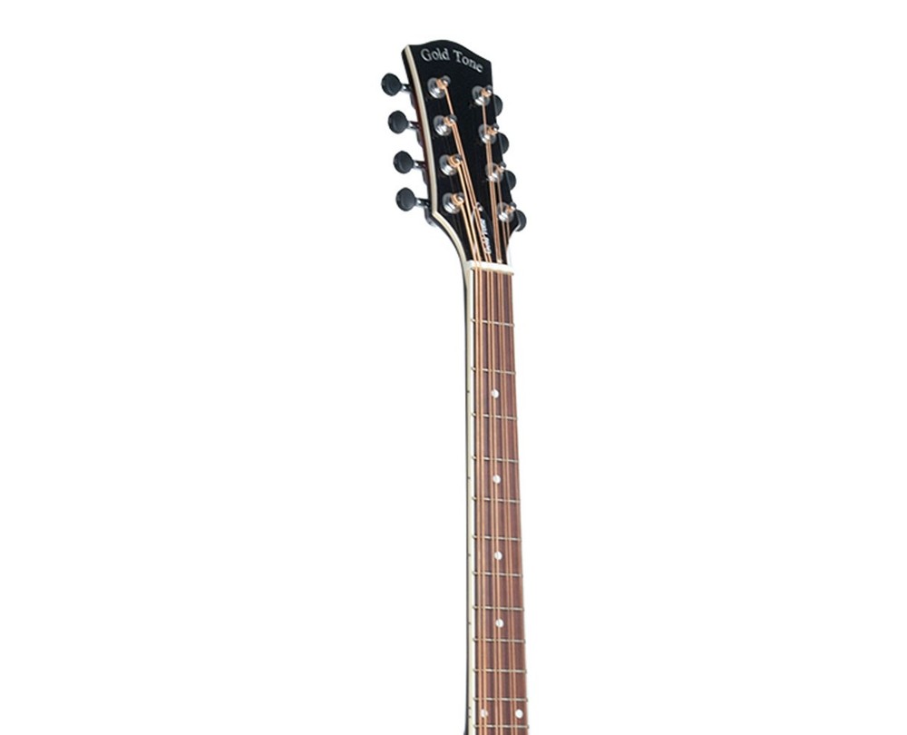 Gold Tone Mandocello