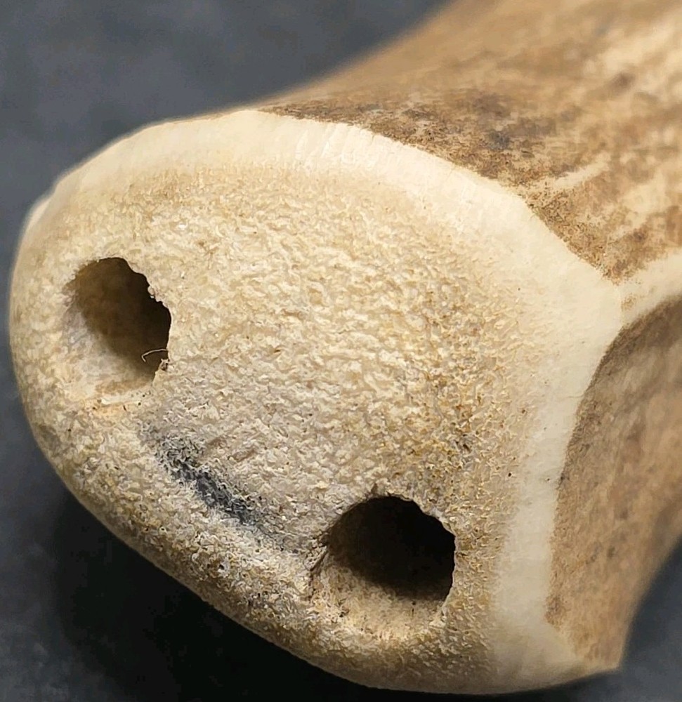 Ah-So Wine Opener With Antler Handle