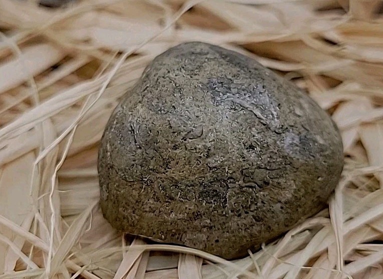 Real Dinosaur Egg Fossil Uv Reactive Permineralization fossil