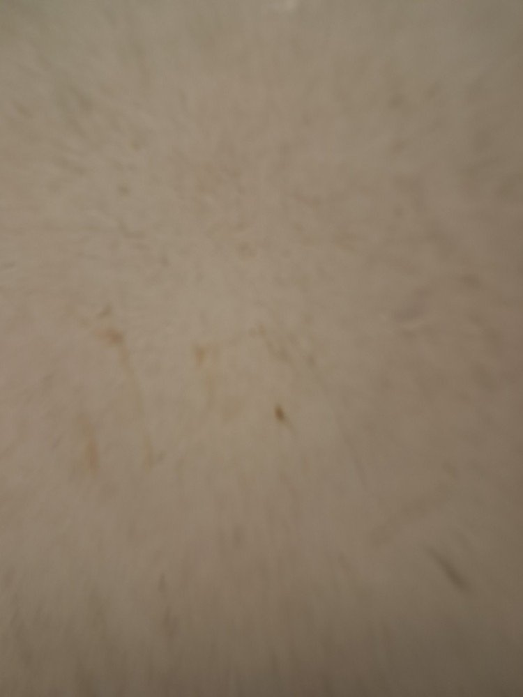 MURR ELEKTRONIK 51152 TOGGLE SWITCH OUTPUT RELAY NSMP