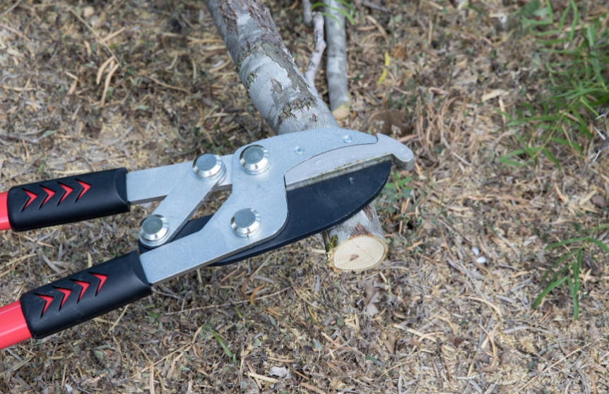 New GG12A Anvil Lopper 30", Compound Action Tree Trimmer