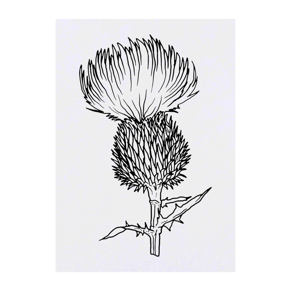 'Thistle' Temporary Tattoos / Transfers (TO00042268)