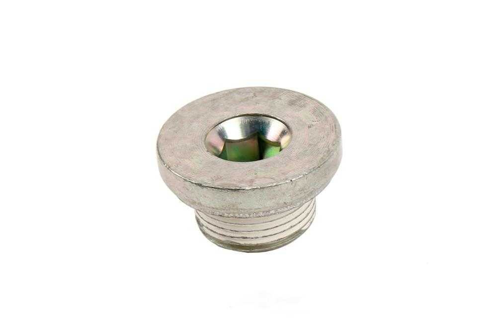Engine Timing Chain Guide Rail Plug