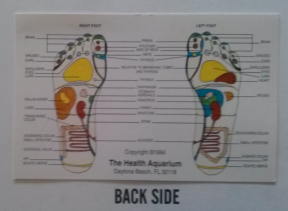 REFLEXOLOGY, HANDS & FEET WALLET CARD - LAMINATED